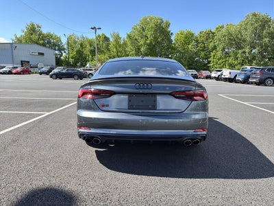 2019 Audi S5 Sportback Premium Plus quattro
